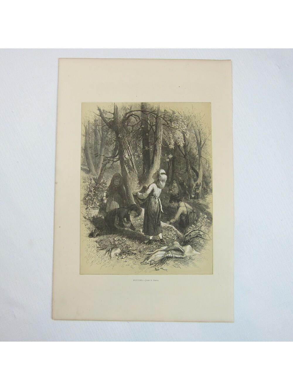 Antique 1873 Wood Engraving Print Nutting by John S. Davis, The Aldine, Children